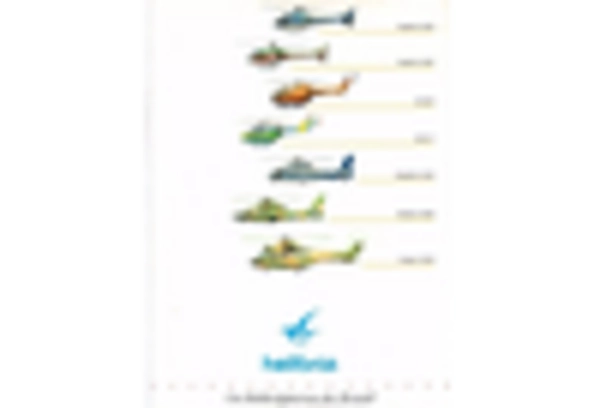 US Helicopter Tourism Market key player