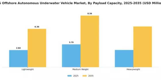 US Offshore Autonomous Underwater Vehicle Market Segment Image 2