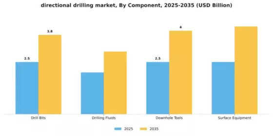 Directional Drilling Market Segment Image 1