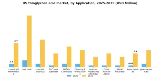 US Thioglycolic Acid Market Segment Image 0