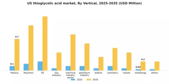 US Thioglycolic Acid Market Segment Image 2