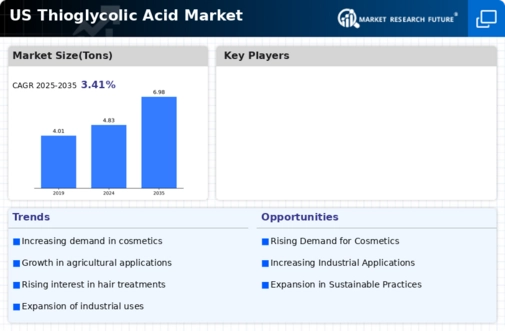 US Thioglycolic Acid Market Infographic