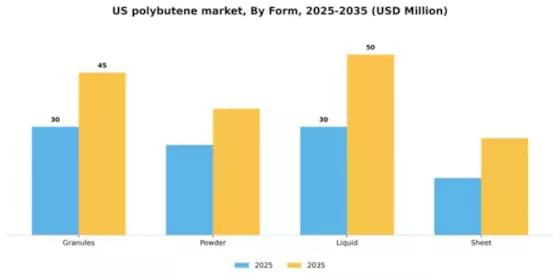 US Polybutene Market Segment Image 2