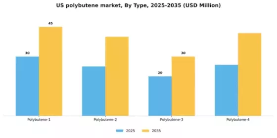US Polybutene Market Segment Image 3