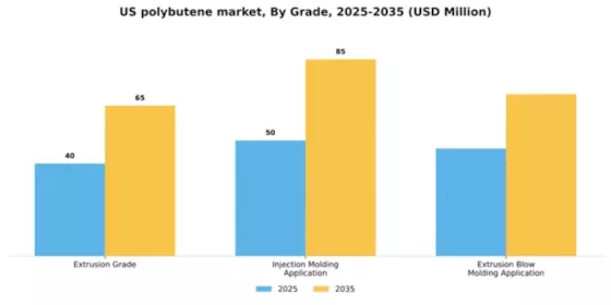 US Polybutene Market Segment Image 1