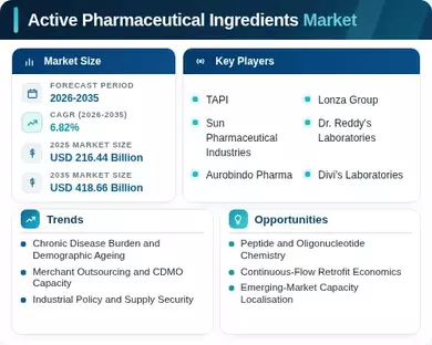 Active Pharmaceutical Ingredients Market Infographic