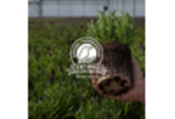 Peat Market key player