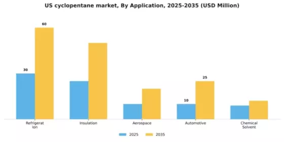 US Cyclopentane Market Segment Image 0
