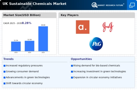 UK Sustainable Chemicals Market Infographic