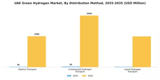 UAE Green Hydrogen Market Segment Image 1