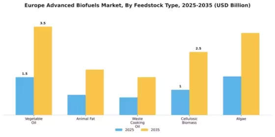 Europe Advanced Biofuel market Segment Image 2