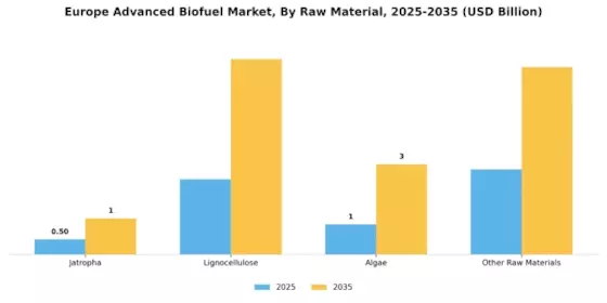 Europe Advanced Biofuel market Segment Image 0