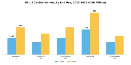 US Zeolite Market Segment Image 1