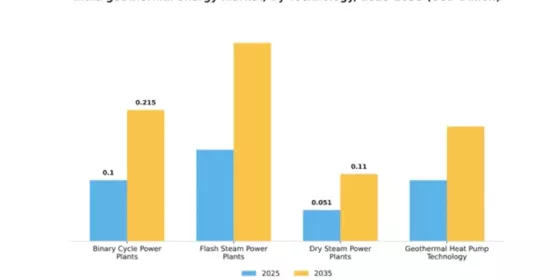 India Geothermal Energy Market Segment Image 2