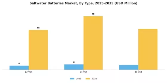 Saltwater Batteries Market Segment Image 1