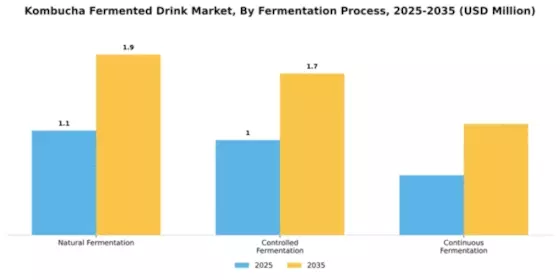 Kombucha Fermented Drink Market Segment Image 2