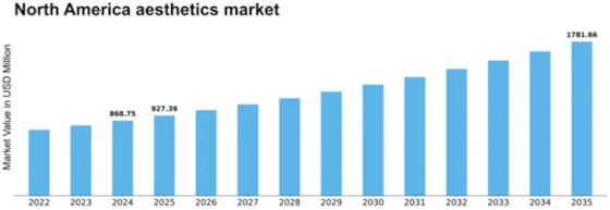North America Aesthetics Market Size