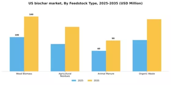 US Biochar Market Segment Image 2