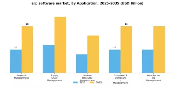 ERP Software Market Segment Image 0