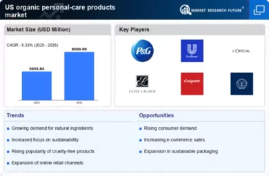 US Organic Personal Care Products Market Infographic