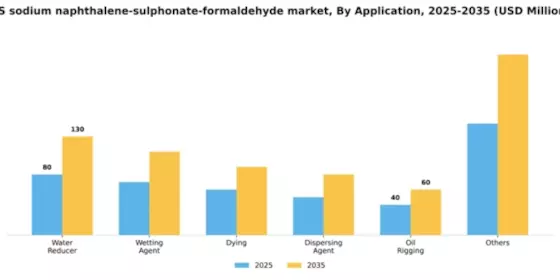 US Sodium Naphthalene Sulphonate Formaldehyde Market Segment Image 0