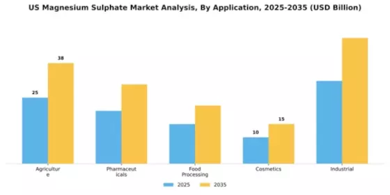 US Magnesium Sulphate Market Segment Image 0