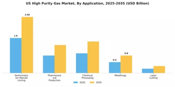 US High Purity Gas Market Segment Image 0
