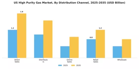 US High Purity Gas Market Segment Image 1