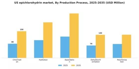 US Epichlorohydrin Market Segment Image 3