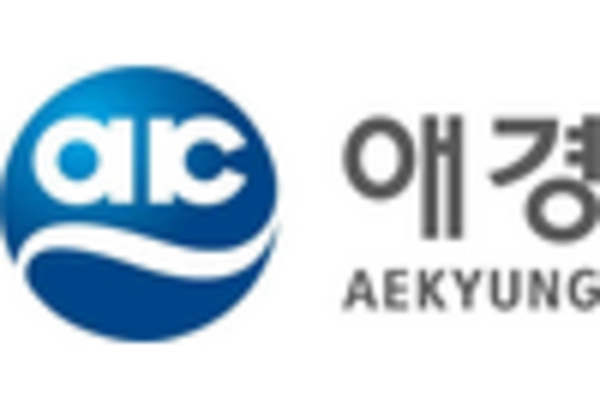 US Phthalic Anhydride Market key player