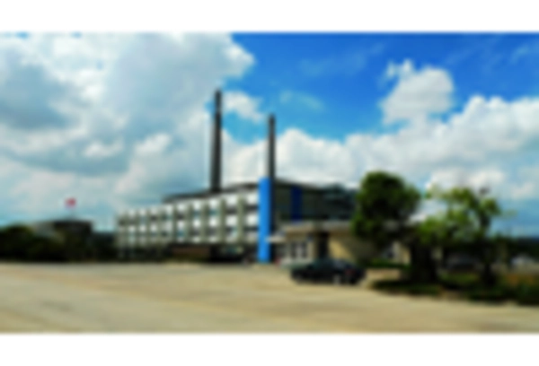 US Calcium Propionate Market key player