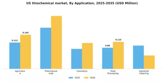 US Thiochemical Market Segment Image 0
