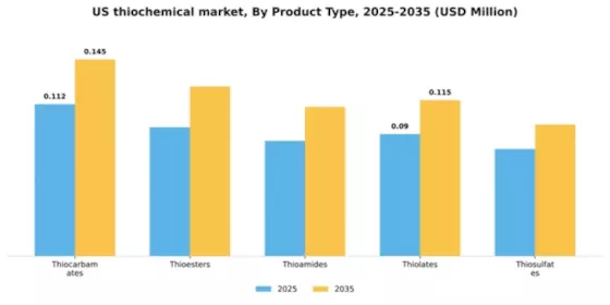 US Thiochemical Market Segment Image 4