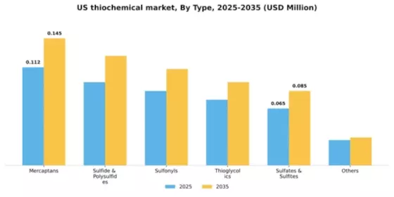 US Thiochemical Market Segment Image 1
