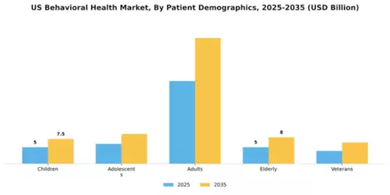 US Behavioral Health Market Segment Image 1