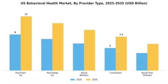 US Behavioral Health Market Segment Image 2