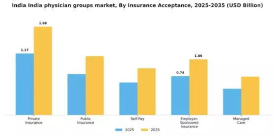 US Physician Groups Market Segment Image 0
