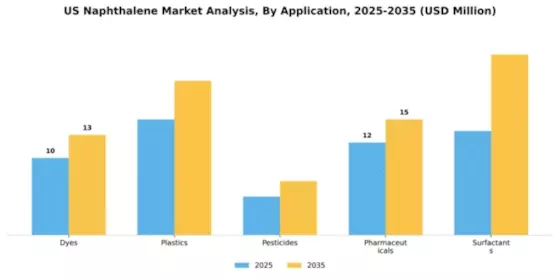 US Naphthalene Market Segment Image 0