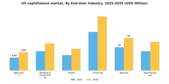 US Naphthalene Market Segment Image 1