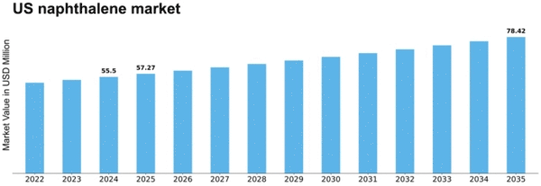 US Naphthalene Market Size