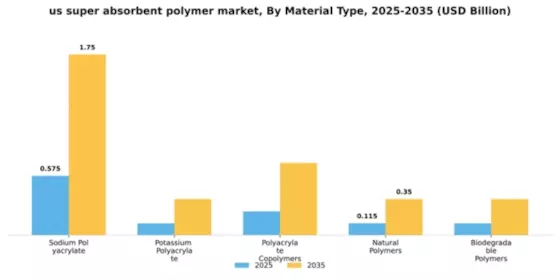 US Super Absorbent Polymer Market Segment Image 4
