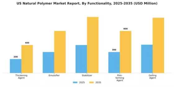 US Natural Polymer Market Segment Image 2
