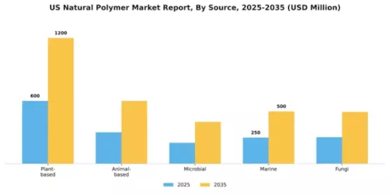 US Natural Polymer Market Segment Image 3
