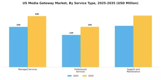 US Media Gateway Market Segment Image 3