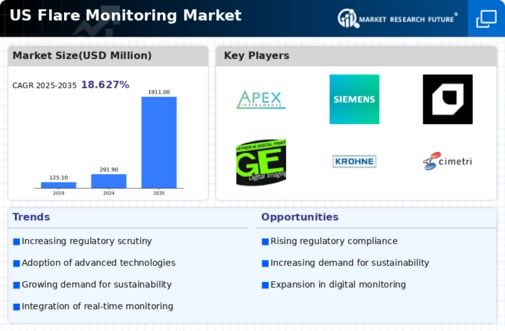 US Flare Monitoring Market Infographic