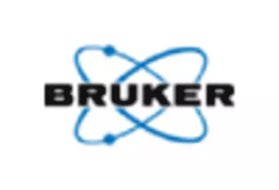 US Nano Metrology Market key player