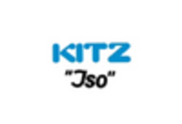 US Ball Valves Market key player