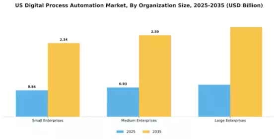 US Digital Process Automation Market Segment Image 3