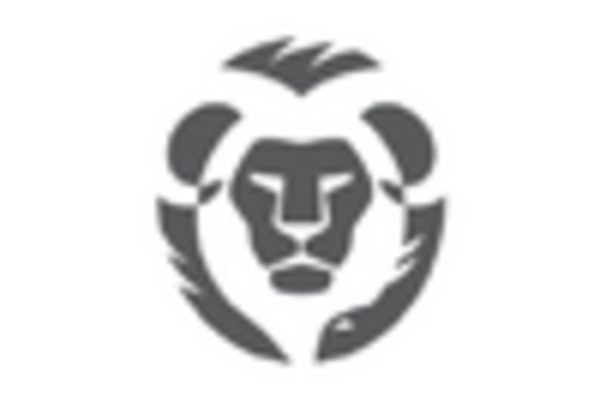 US Hexagonal Boron Nitride Market key player