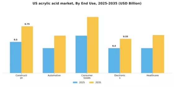 US Acrylic Acid Market Segment Image 1